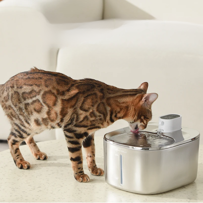 PurrParadise™ PawRefresh Wireless Fountain