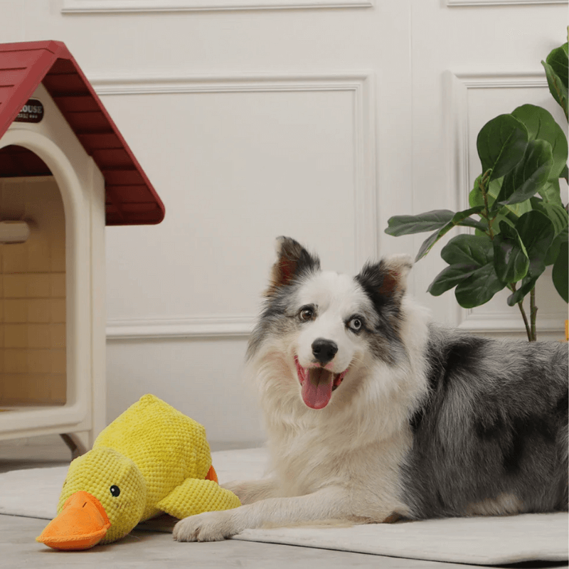 PurrParadise™ PawComfort Companion Duck