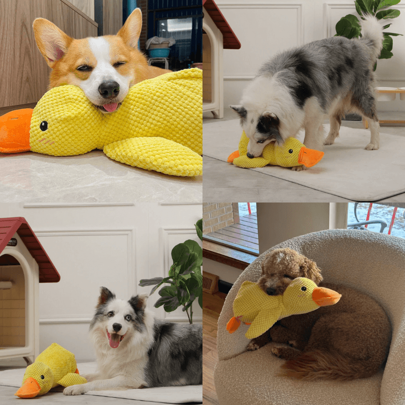 PurrParadise™ PawComfort Companion Duck