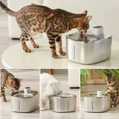 PurrParadise™ PawRefresh Wireless Fountain