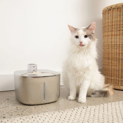 PurrParadise™ PawRefresh Wireless Fountain